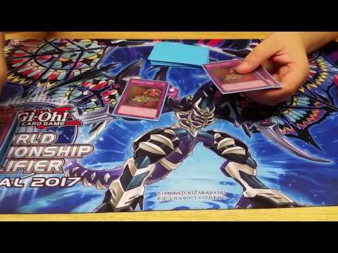 1st Place - Pearl, MS Regional - Paleozoic Frogs - Wes Allen