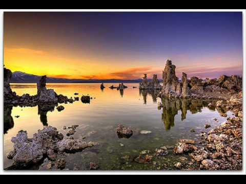 Digital Mystery Tour - The Blooming