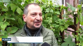 Празник на смилянския фасул все пак ще има, макар и редуциран
