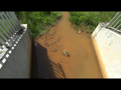 #7 WIZJA LOKALNA 6.06.2020 – Kanał Białołęcki w Warszawie