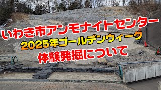 いわき市アンモナイトセンター2025年GW体験発掘について