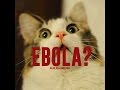 Ebola in America (Original Video)