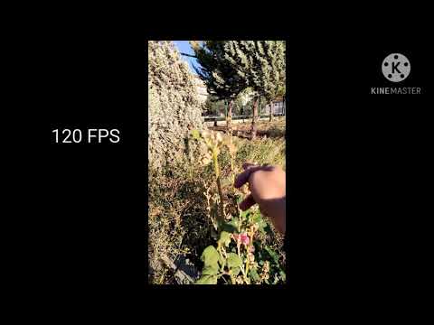 Poco f2 pro / redmi k30 pro camera test... Slow motion videos (120, 240, 960 FPS) #pocof2pro .