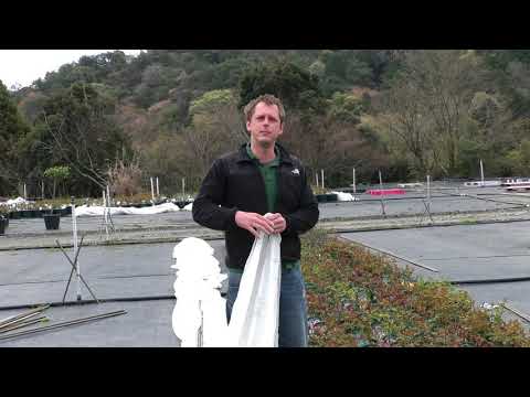 地面の霜から植物を守る