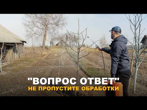 РУБРИКА "ВОПРОС-ОТВЕТ": Как победить тлю, камедетечение и другие вопросы подписчиков.