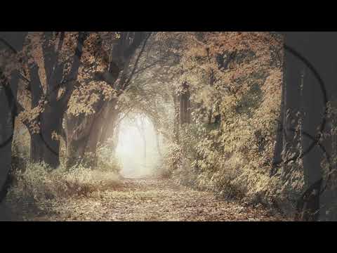 Radmila Jagodić, Nada Mamula - Sevdah