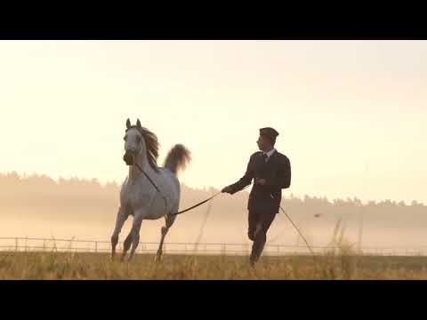 ⚜️ LAMBADA ⚜️ (Emerald J x Lawinia / Ekstern), 2022 PRIDE OF POLAND