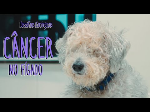 Desafios Cirúrgicos: Câncer no Fígado