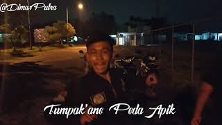 Download lagu Pacarmu Ganteng ? Putih ? Tumpak'ane Apik ? Isok Ngene ra 🤣 mp3