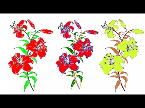 coloring flower pictures Video