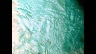 Wildbirds & Peacedrums - The Battle In Water