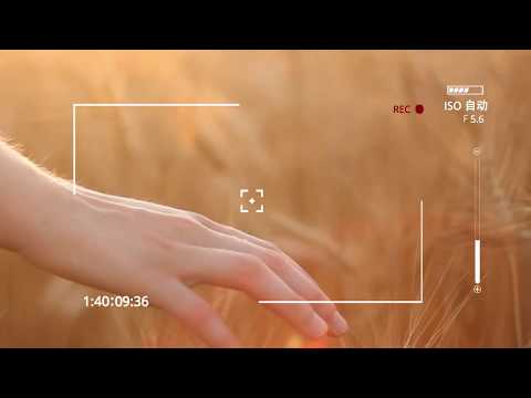 Kenxinda X6 Best Smart Phone under $100 2017