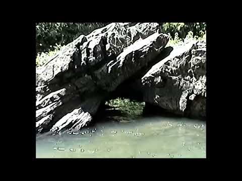 Steinza - Weep (Official Lyric Video)