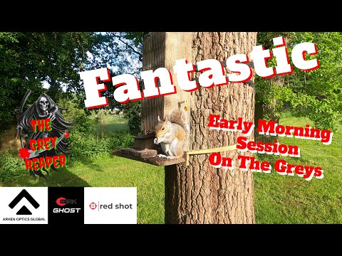 Grey Squirrel shooting ep 1