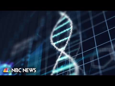 Gene-editing tool could help lower high cholesterol in patients