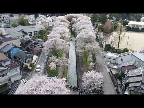 【空撮】琵琶湖疏水と三井寺（園城寺）