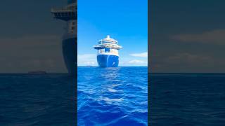 Who agrees? 🙋‍♀️🙋‍♂️ #cruise #shorts