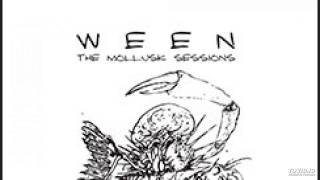 Ween - Mollusk Sessions - Flutes of the Chi