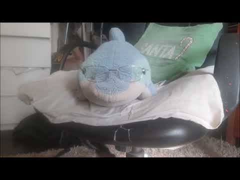 Shiny Grey - Why? (Wez Clarke Remix)