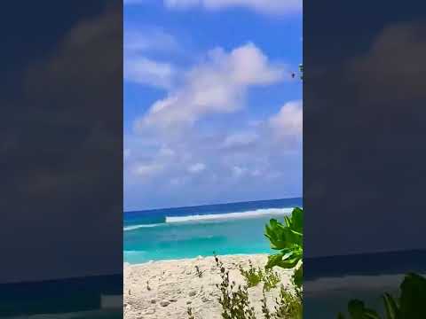 #maldivesbeach #beachvilla
