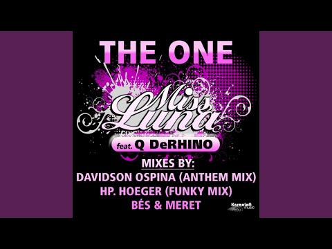 The One (HP. Hoeger Funky Mix)