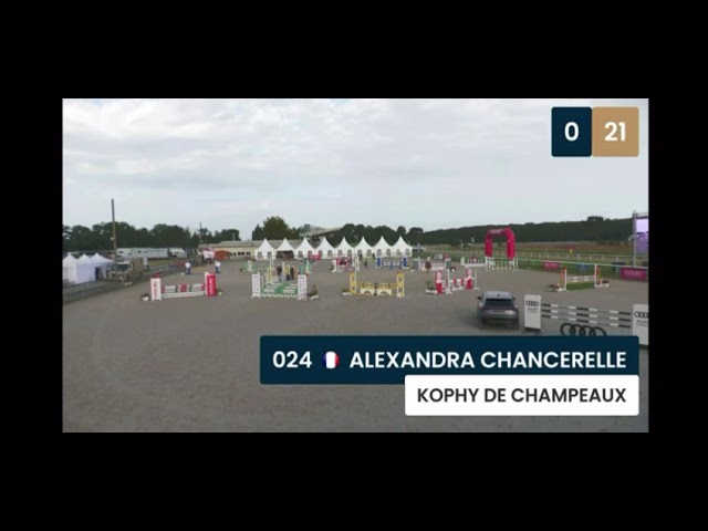 Cheval amateur &eacute;lite