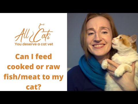 Can I feed cooked or raw meat or fish to my cat?