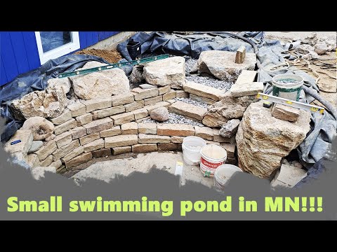 We made a Tiny Natural Swimming Pool in Minnesota!
