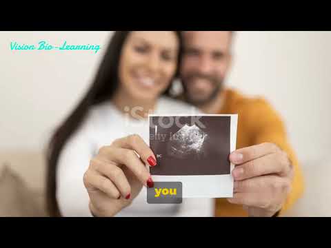 Chromosomes: The Blueprint of Life