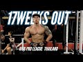 17 weeks out|Thailand pro show road to IFBB PRO|Condition check