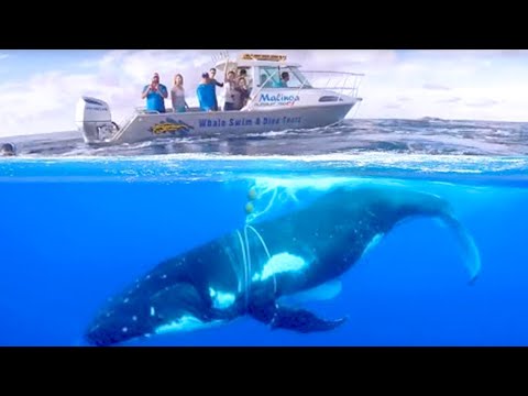 10 Most Dangerous Ultimate Close Calls In the Sea