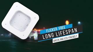 Buy LED Dimmable Canopy Lights