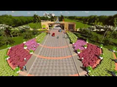 Walkthrough Walkthrough