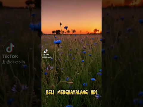 Danu Buyan #lagubali #danubuyan #lagu