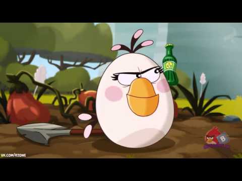 Angry birds toons Oh Gnome clip