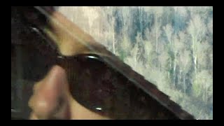 Dog Park – Kaleidoscope