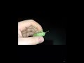 Green cicada sreams 🤯