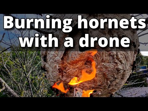 Trying to Burn a Massive Hornets Nest with a Drone (it didn’t go as planned…)