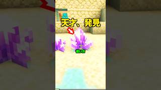 海外の天才、アメジストの仕様を発見。【マイクラ】