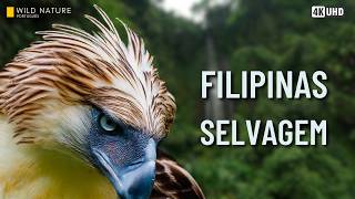 O Laboratório Vivo das Filipinas – Espécies que Só Existem Aqui | Documentário Completo
