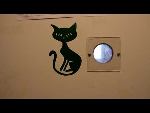 Kočičí dům Felix: Reportáž z předání daru kočičkám od dětí ze ZŠ Poznávání