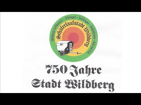 Stadtfestfilm Wildberg 1988
