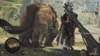 【モンハンワイルズ】竜谷の跡地のドシャグマ(02'04"92)