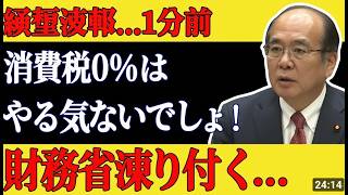 衝撃の暴露！財務省が隠す大嘘と消費税の闇の正体とは【安藤裕 塩入清香】 #消費税 #財務省 #政治ニュース