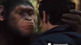 Download lagu Status WA || sesuk prei mp3