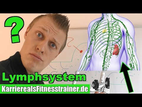 Alles zum unterschätzten & unbekannten Lymphsystem einfach erklärt!