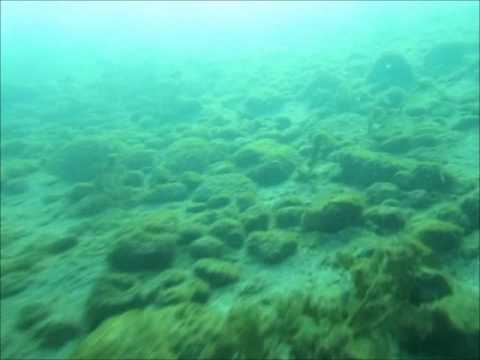 Les dents du lac Léman