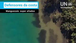 Miniatura do vídeo