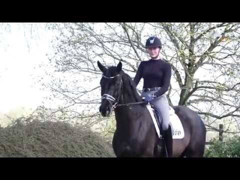 Don Nobless Hotline   Groß