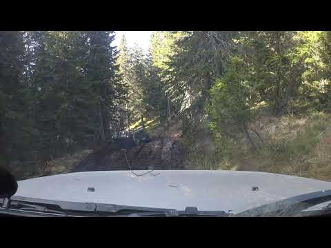 12 Serbian Trophy 2018 - soft. 1